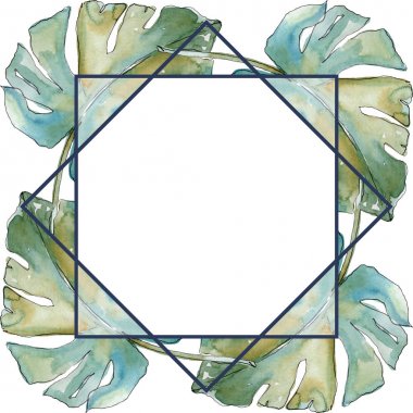 Egzotik tropikal Hawaii yaz. Palmiye plaj ağacı orman botanik bırakır. Suluboya arka plan illüstrasyon seti. Suluboya çizim moda aquarelle izole. Çerçeve kenarlık süs karesi.