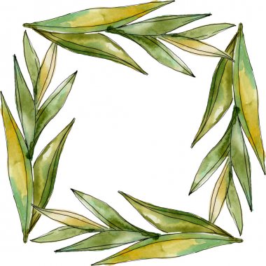 Egzotik tropikal Hawaii yaz. Palmiye plaj ağacı orman botanik bırakır. Suluboya arka plan illüstrasyon seti. Suluboya çizim moda aquarelle izole. Çerçeve kenarlık süs karesi.