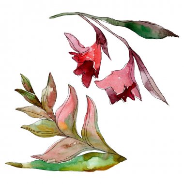 Egzotik tropikal Hawaii yaz. Palmiye plaj ağacı orman botanik bırakır. Suluboya arka plan illüstrasyon seti. Suluboya çizim moda aquarelle izole. Yalıtılmış yapraklar illüstrasyon elemanı.