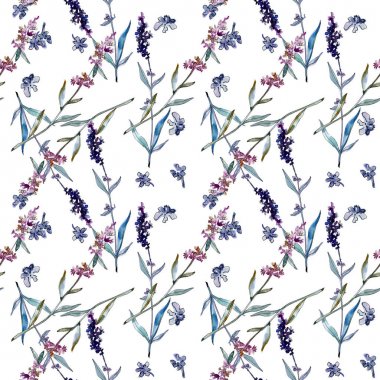 Lavanta çiçek botanik çiçekleri. Suluboya arka plan illüstrasyon seti. Kesintisiz arka plan deseni.
