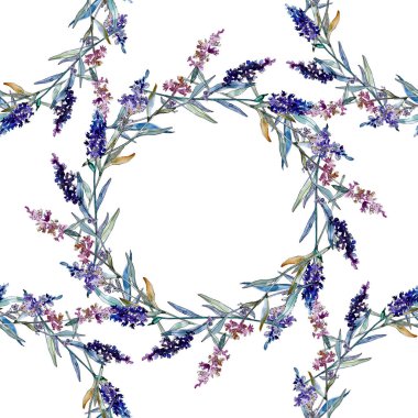 Lavanta çiçek botanik çiçekleri. Suluboya arka plan illüstrasyon seti. Çerçeve kenarlık süs karesi.