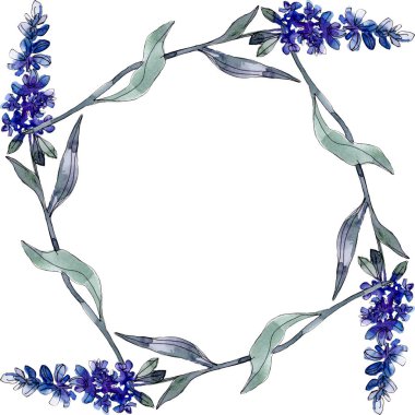 Lavanta çiçek botanik çiçekleri. Yabani bahar yaprağı kır çiçeği izole. Suluboya arka plan illüstrasyon seti. Suluboya çizim moda aquarelle izole. Çerçeve kenarlık süs karesi.