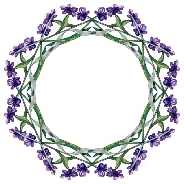 Lavanta çiçek botanik çiçekleri. Yabani bahar yaprağı kır çiçeği izole. Suluboya arka plan illüstrasyon seti. Suluboya çizim moda aquarelle izole. Çerçeve kenarlık süs karesi.