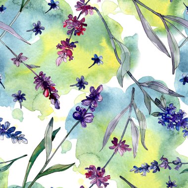 Lavanta çiçek botanik çiçekleri. Yabani bahar yaprağı kır çiçeği. Suluboya illüstrasyon seti. Suluboya çizim moda aquarelle. Kusursuz arka plan deseni. Kumaş duvar kağıdı baskı doku.