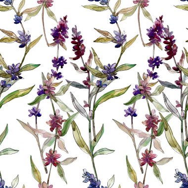 Mor lavanta çiçek botanik çiçekleri. Yabani bahar yaprağı kır çiçeği. Suluboya illüstrasyon seti. Suluboya çizim moda aquarelle. Kusursuz arka plan deseni. Kumaş duvar kağıdı baskı doku.