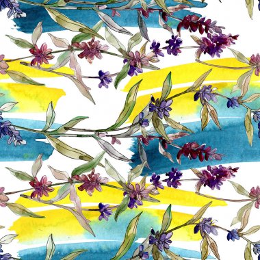 Mor lavanta çiçek botanik çiçekleri. Yabani bahar yaprağı kır çiçeği. Suluboya illüstrasyon seti. Suluboya çizim moda aquarelle. Kusursuz arka plan deseni. Kumaş duvar kağıdı baskı doku.