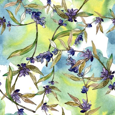 Mor lavanta çiçek botanik çiçekleri. Yabani bahar yaprağı kır çiçeği. Suluboya illüstrasyon seti. Suluboya çizim moda aquarelle. Kusursuz arka plan deseni. Kumaş duvar kağıdı baskı doku.