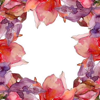 Camelia çiçek botanik çiçekleri. Suluboya arka plan illüstrasyon seti. Çerçeve kenarlık süs karesi.