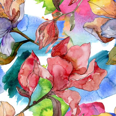 Camelia çiçek botanik çiçekleri. Suluboya arka plan illüstrasyon seti. Kesintisiz arka plan deseni.