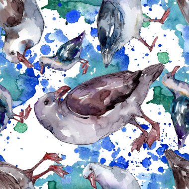 Vahşi yaşamda gökyüzü kuşu martı. Vahşi özgürlük, uçan kanatlı kuş. Suluboya illüstrasyon seti. Suluboya çizim moda aquarelle. Kusursuz arka plan deseni. Kumaş duvar kağıdı baskı doku.