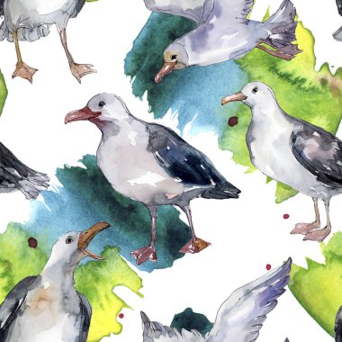 Vahşi yaşamda gökyüzü kuşu martı. Vahşi özgürlük, uçan kanatlı kuş. Suluboya illüstrasyon seti. Suluboya çizim moda aquarelle. Kusursuz arka plan deseni. Kumaş duvar kağıdı baskı doku.