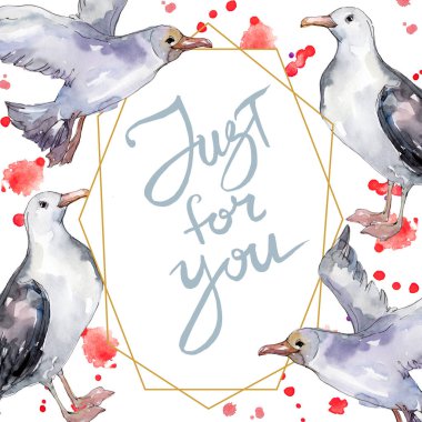 Vahşi yaşamda gökyüzü kuşu martı. Vahşi özgürlük, uçan kanatlı kuş. Suluboya arka plan illüstrasyon seti. Suluboya çizim moda aquarelle izole. Çerçeve kenarlık süs karesi.