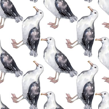 Vahşi yaşamda gökyüzü kuşu martı. Vahşi özgürlük, uçan kanatlı kuş. Suluboya illüstrasyon seti. Suluboya çizim moda aquarelle. Kusursuz arka plan deseni. Kumaş duvar kağıdı baskı doku.