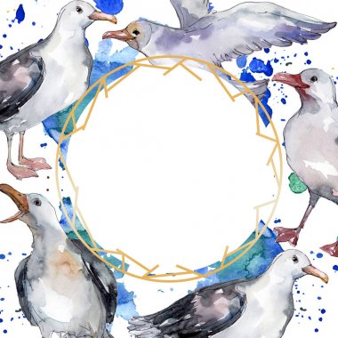 Vahşi yaşamda gökyüzü kuşu martı. Vahşi özgürlük, uçan kanatlı kuş. Suluboya arka plan illüstrasyon seti. Suluboya çizim moda aquarelle izole. Çerçeve kenarlık süs karesi.