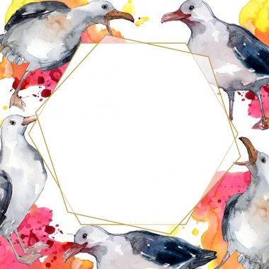 Vahşi yaşamda gökyüzü kuşu martı. Vahşi özgürlük, uçan kanatlı kuş. Suluboya arka plan illüstrasyon seti. Suluboya çizim moda aquarelle izole. Çerçeve kenarlık süs karesi.