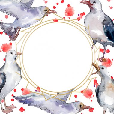 Vahşi yaşamda gökyüzü kuşu martı. Vahşi özgürlük, uçan kanatlı kuş. Suluboya arka plan illüstrasyon seti. Suluboya çizim moda aquarelle izole. Çerçeve kenarlık süs karesi.