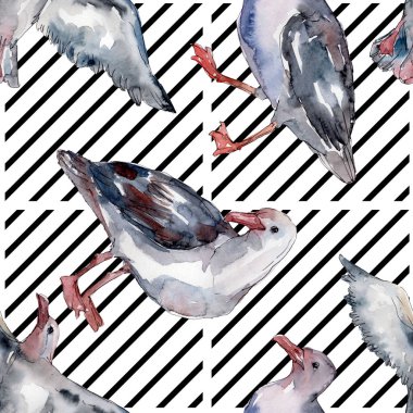 Vahşi yaşamda gökyüzü kuşu martı. Vahşi özgürlük, uçan kanatlı kuş. Suluboya illüstrasyon seti. Suluboya çizim moda aquarelle. Kusursuz arka plan deseni. Kumaş duvar kağıdı baskı doku.