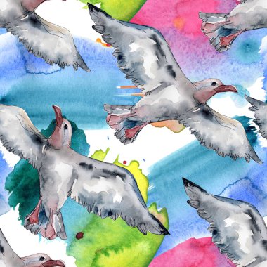 Vahşi yaşamda gökyüzü kuşu martı. Vahşi özgürlük, uçan kanatlı kuş. Suluboya illüstrasyon seti. Suluboya çizim moda aquarelle. Kusursuz arka plan deseni. Kumaş duvar kağıdı baskı doku.