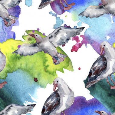 Vahşi yaşamda gökyüzü kuşu martı. Vahşi özgürlük, uçan kanatlı kuş. Suluboya illüstrasyon seti. Suluboya çizim moda aquarelle. Kusursuz arka plan deseni. Kumaş duvar kağıdı baskı doku.