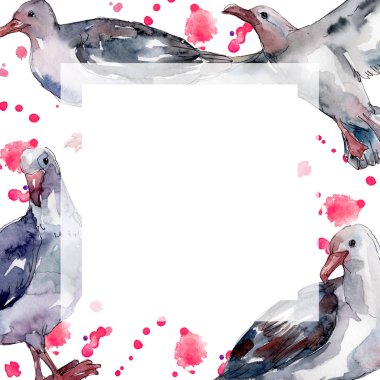 Vahşi yaşamda gökyüzü kuşu martı. Vahşi özgürlük, uçan kanatlı kuş. Suluboya arka plan illüstrasyon seti. Suluboya çizim moda aquarelle izole. Çerçeve kenarlık süs karesi.
