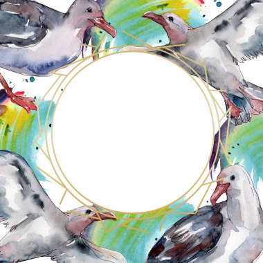 Vahşi yaşamda gökyüzü kuşu martı. Vahşi özgürlük, uçan kanatlı kuş. Suluboya arka plan illüstrasyon seti. Suluboya çizim moda aquarelle izole. Çerçeve kenarlık süs karesi.