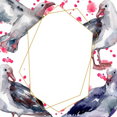 Vahşi yaşamda gökyüzü kuşu martı. Vahşi özgürlük, uçan kanatlı kuş. Suluboya arka plan illüstrasyon seti. Suluboya çizim moda aquarelle izole. Çerçeve kenarlık süs karesi.