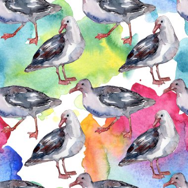 Vahşi yaşamda gökyüzü kuşu martı. Vahşi özgürlük, uçan kanatlı kuş. Suluboya illüstrasyon seti. Suluboya çizim moda aquarelle. Kusursuz arka plan deseni. Kumaş duvar kağıdı baskı doku.