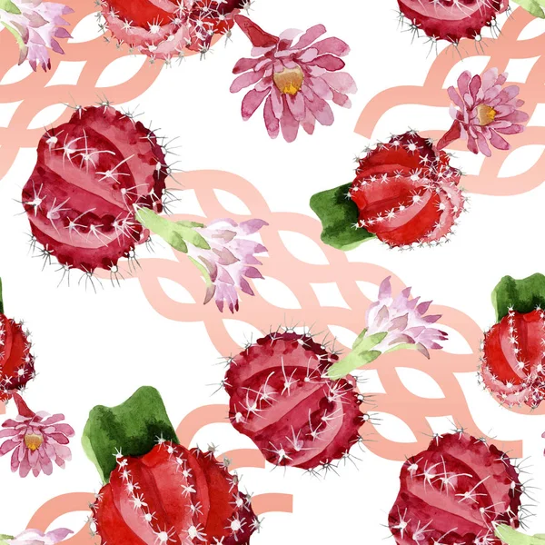 Red Green Cacti Watercolor Illustration Set Seamless Background Pattern — Stock Photo, Image