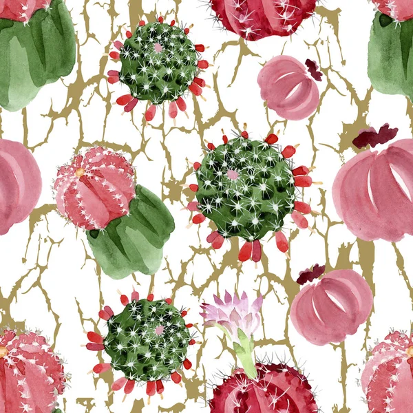 Red Green Cacti Watercolor Illustration Set Seamless Background Pattern — Stock Photo, Image