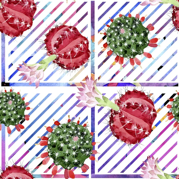 Conjunto Ilustración Acuarela Cactus Rojo Verde Patrón Fondo Sin Costuras — Foto de Stock