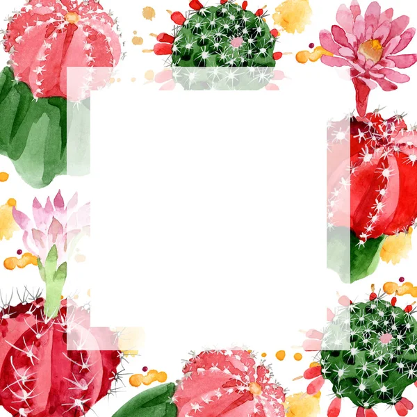 Red Green Cacti Isolated White Watercolor Illustration Frame Copy Space — Stock Photo, Image