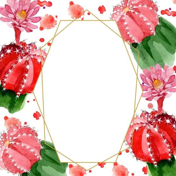 Red Green Cacti Isolated White Watercolor Illustration Frame Copy Space — Stock Photo, Image