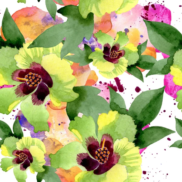 Botanische Baumwollblumen Wilde Frühlingsblume Aquarell Illustrationsset Vorhanden Aquarell Zeichnen Mode — Stockfoto