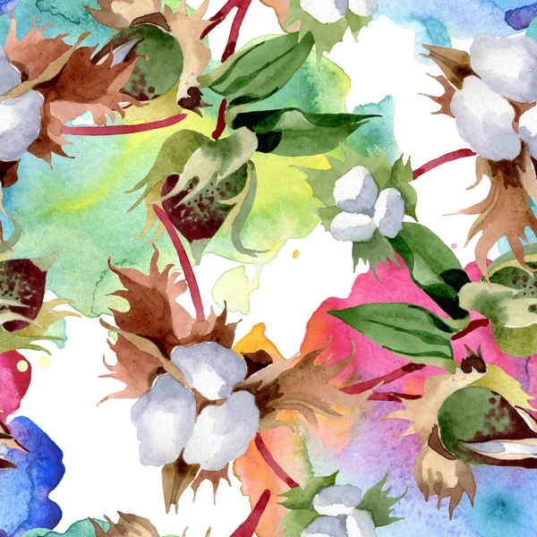 Fiori Botanici Floreali Cotone Fiordaliso Selvatico Set Illustrazione Acquerello Acquerello — Foto Stock