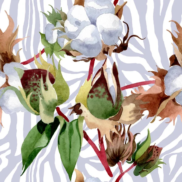 Blom Blommor Bomull Wild Spring Leaf Wildflower Akvarell Illustration Akvarell — Stockfoto