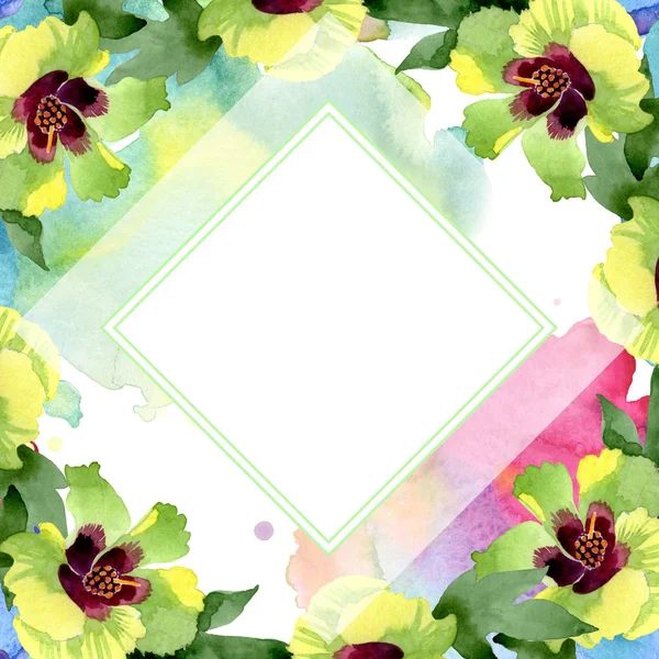 Blom Blommor Bomull Wild Spring Leaf Wildflower Isolerad Akvarell Bakgrund — Stockfoto