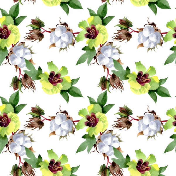 Botanische Baumwollblumen Wilde Frühlingsblume Aquarell Illustrationsset Vorhanden Aquarell Zeichnen Mode — Stockfoto