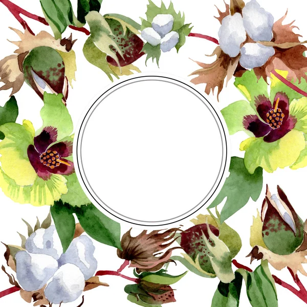 Botanische Baumwollblumen Wildes Frühlingsblatt Wildblume Isoliert Aquarell Hintergrundillustration Set Aquarellzeichnung — Stockfoto