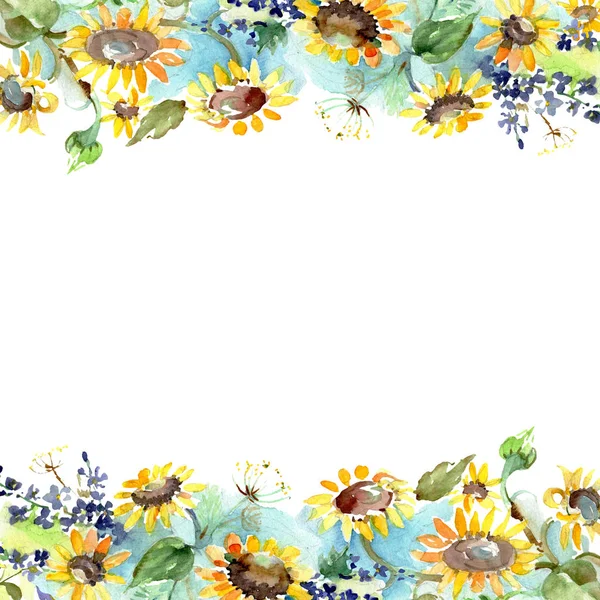 Букет Соняшниками Квіткові Ботанічні Квіти Дикий Весняний Лист Ізольований Набір — стокове фото