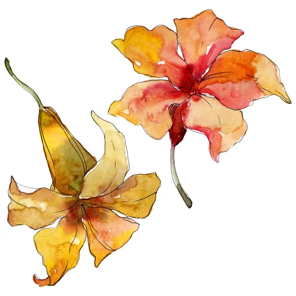 Exotic tropical hawaiian summer. Palm beach tree leaves jungle botanical flower. Watercolor background illustration set. Watercolour drawing fashion aquarelle. Isolated flowers illustration element.
