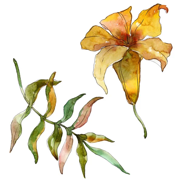 Verano hawaiano tropical exótico. Conjunto de ilustración de fondo acuarela. Elemento ilustrativo de flores aisladas . — Foto de Stock