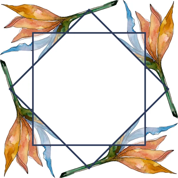 Exotic tropical hawaiian summer. Watercolor background illustration set. Frame border ornament square.