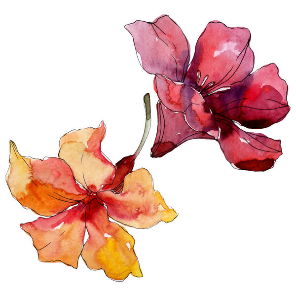 Экзотическое тропическое гавайское лето. Набор акварельных фонов. Изолированный элемент иллюстрации цветов
.