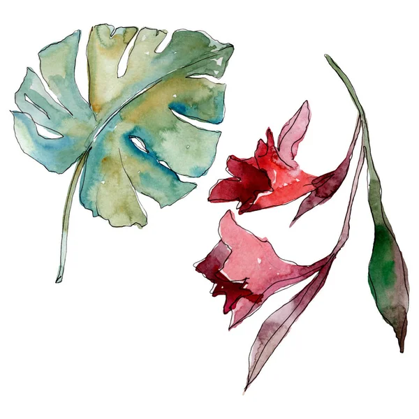 Egzotik tropikal Hawaii yaz. Palmiye plaj ağacı orman botanik bırakır. Suluboya arka plan illüstrasyon seti. Suluboya çizim moda aquarelle izole. Yalıtılmış yapraklar illüstrasyon elemanı.