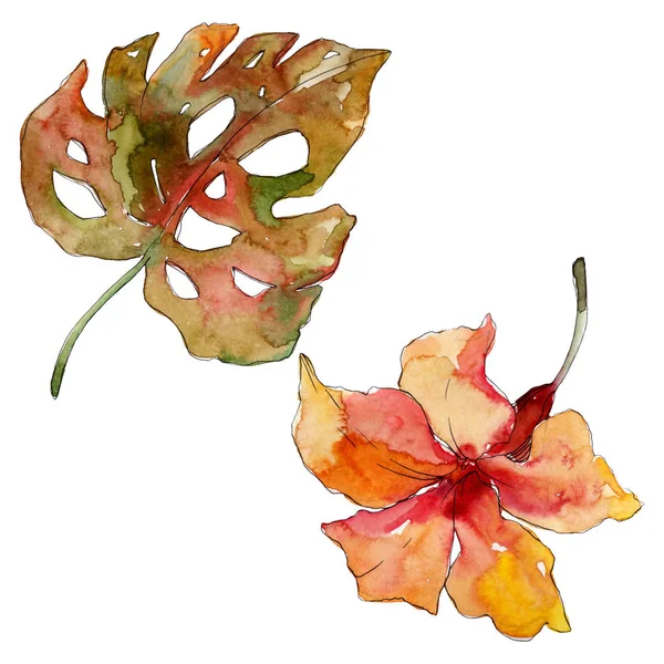 Exotic tropical hawaiian summer. Watercolor background illustration set. Isolated flowers illustration element.