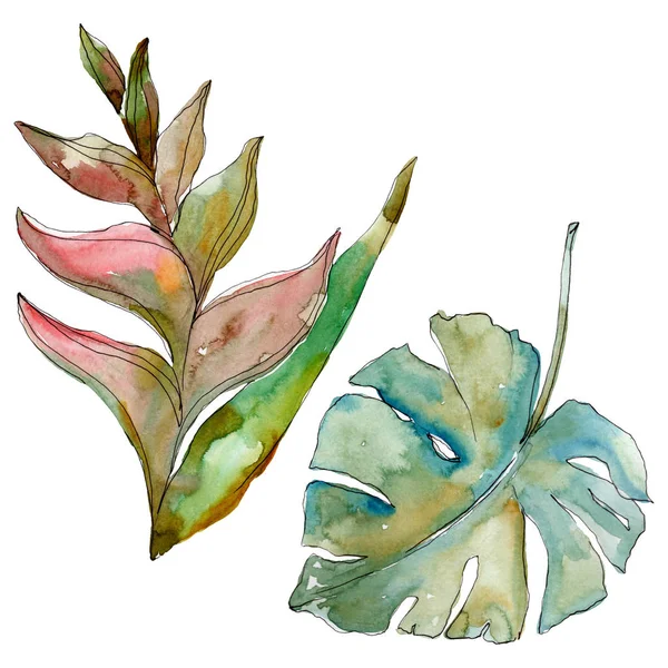 Egzotik tropikal Hawaii yaz. Palmiye plaj ağacı orman botanik bırakır. Suluboya arka plan illüstrasyon seti. Suluboya çizim moda aquarelle izole. Yalıtılmış yapraklar illüstrasyon elemanı.