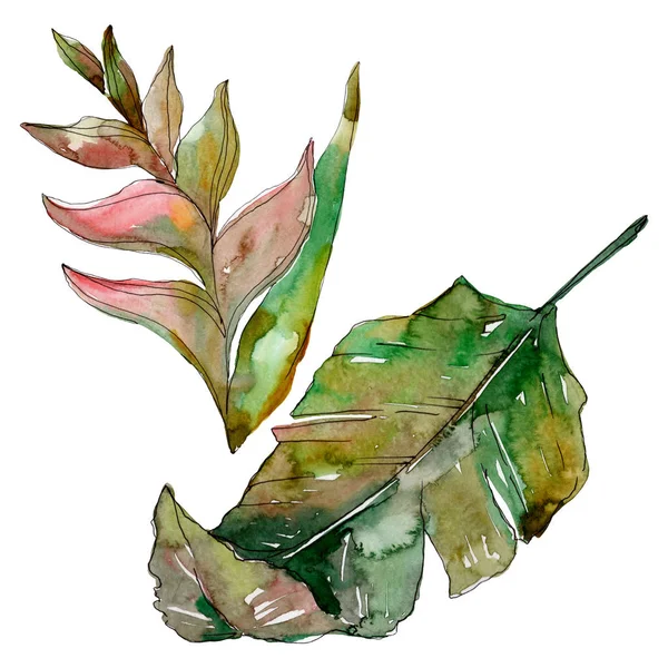Exotic tropical hawaiian summer. Palm beach tree leaves jungle botanical. Watercolor background illustration set. Watercolour drawing fashion aquarelle isolated. Isolated leaves illustration element.
