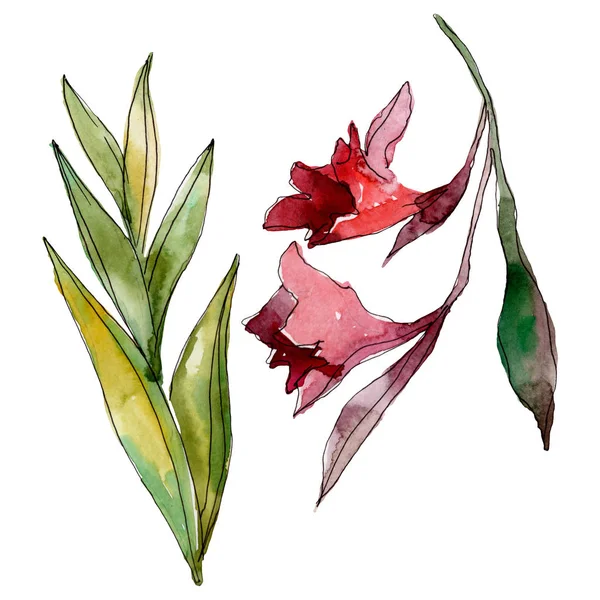 Exotic tropical hawaiian summer. Palm beach tree leaves jungle botanical. Watercolor background illustration set. Watercolour drawing fashion aquarelle isolated. Isolated leaves illustration element.