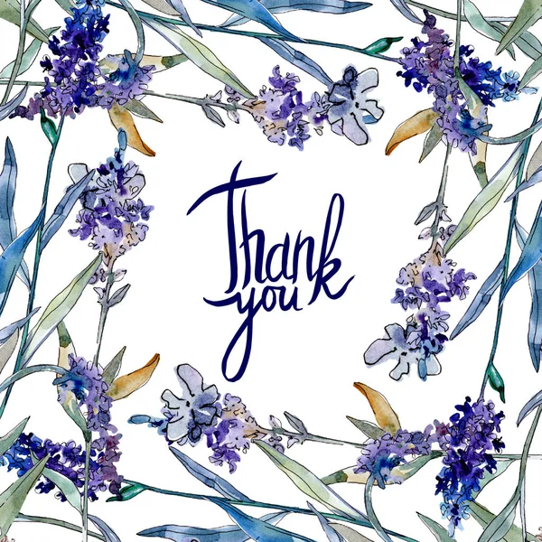 Lavender floral botanical flowers. Watercolor background illustration set. Frame border ornament square.
