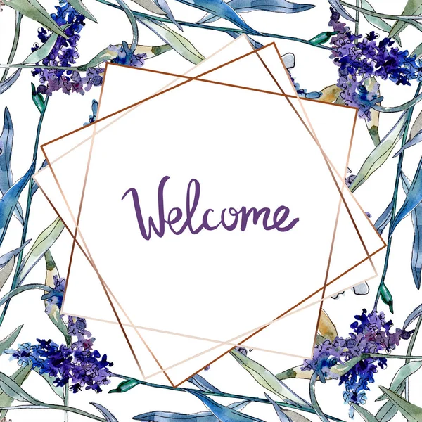 Lavendel bloemen botanische bloemen. Aquarel achtergrond illustratie instellen. Frame rand ornament vierkant. — Stockfoto